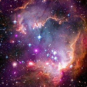 Meet your Posher, Katie-jo